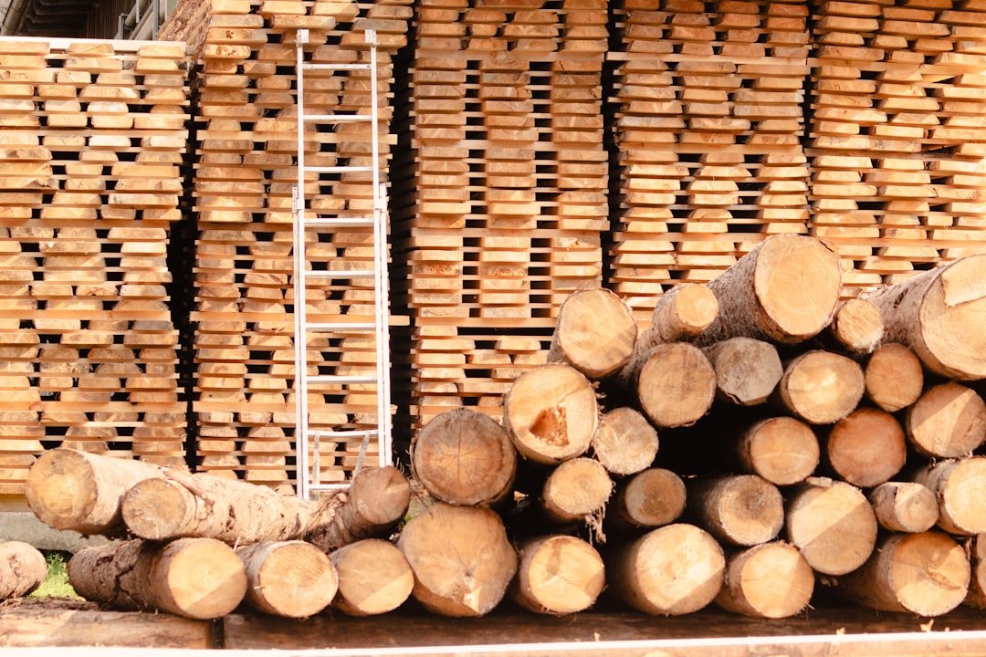 a-pile-of-logs-stacked-on-top-of-each-other-mjbdp4gxhq4