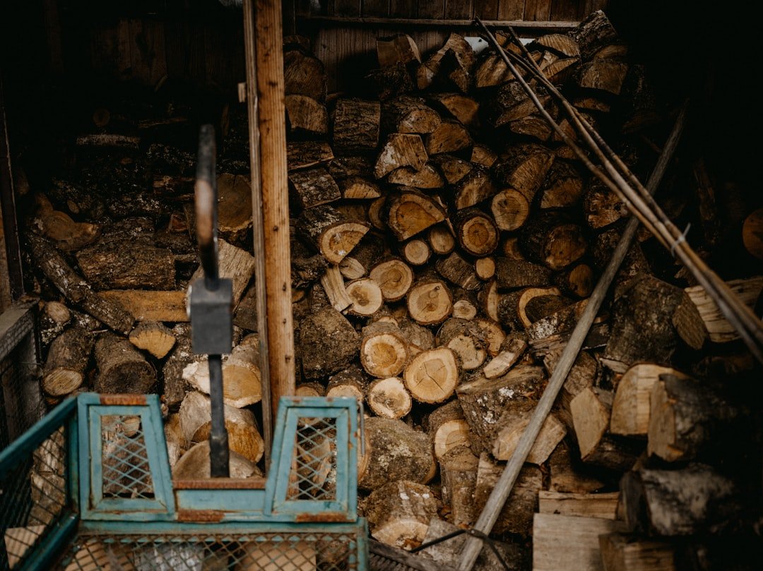 a-pile-of-wood-sitting-next-to-a-pile-of-logs-hjm7mjl2efc