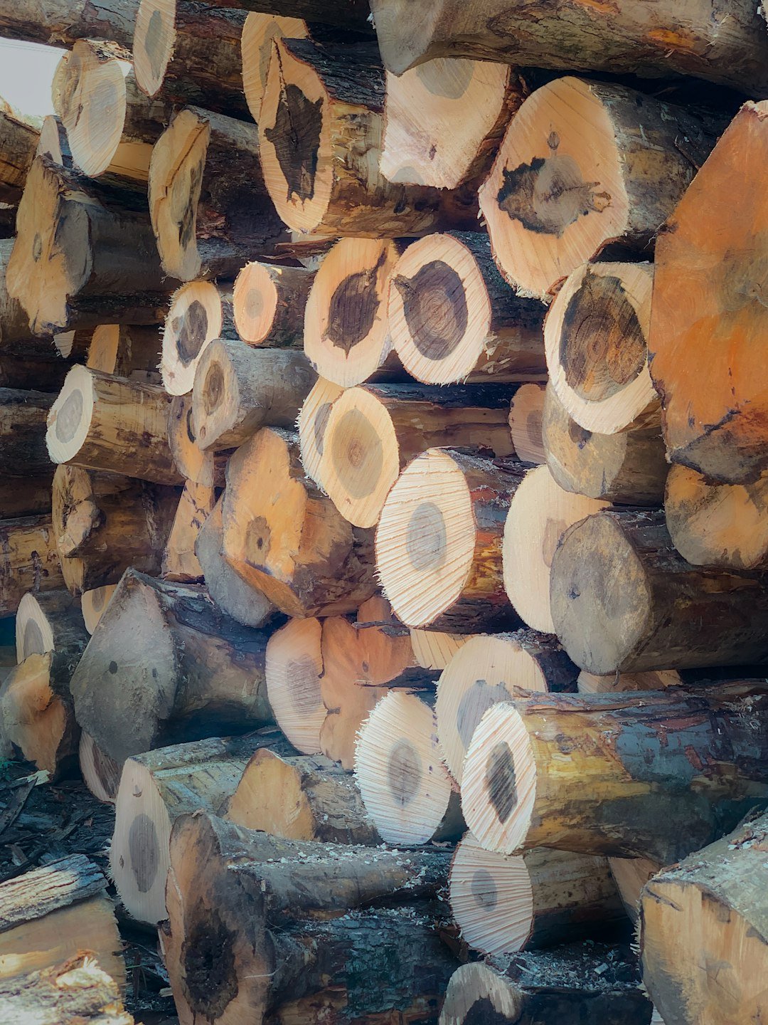 One of the local lumberyards visually assorted log Piles.